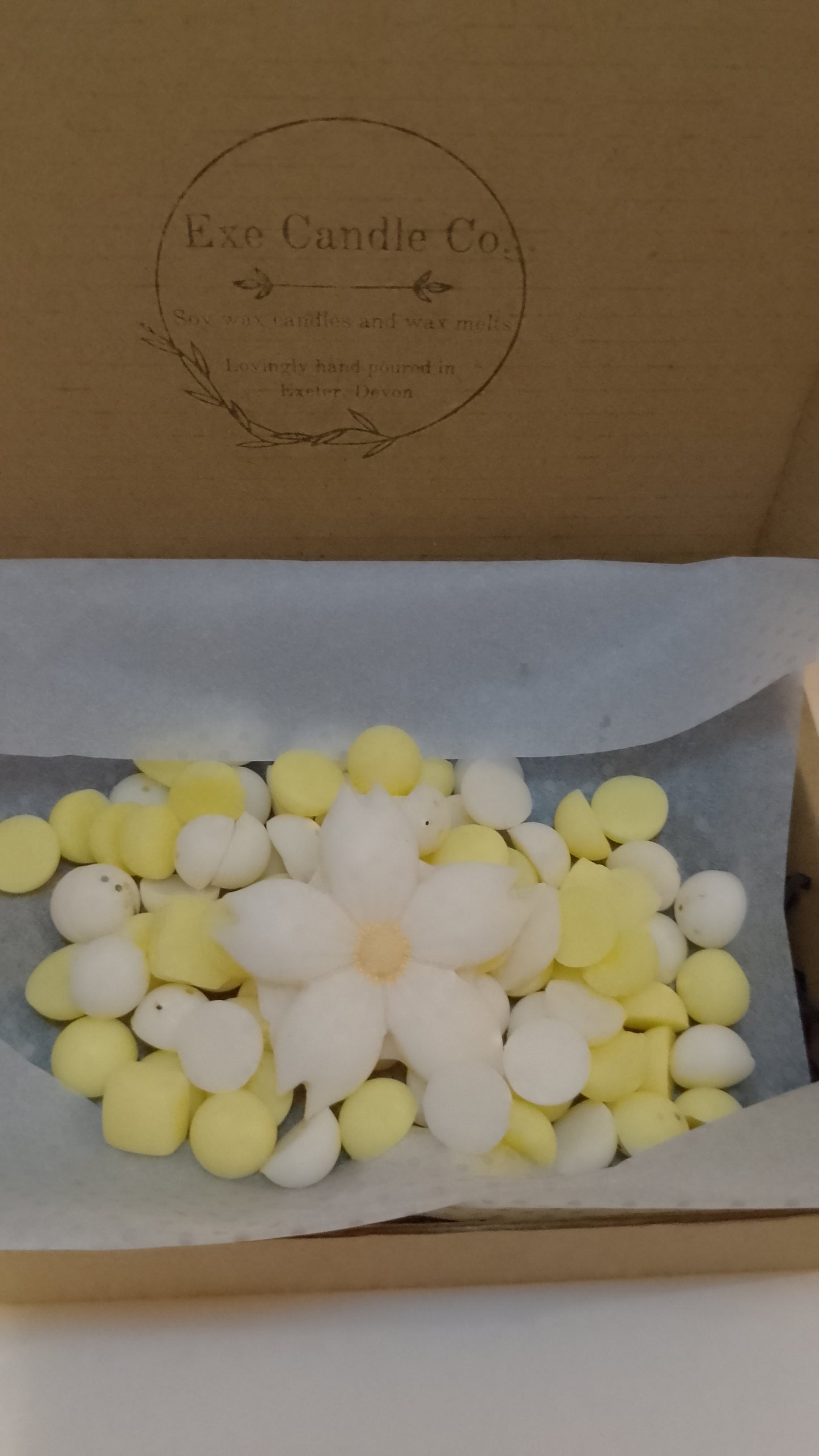 Daisy scented wax melts, yellow and white pattern, soy wax candles, perfume dupe fragrance oil