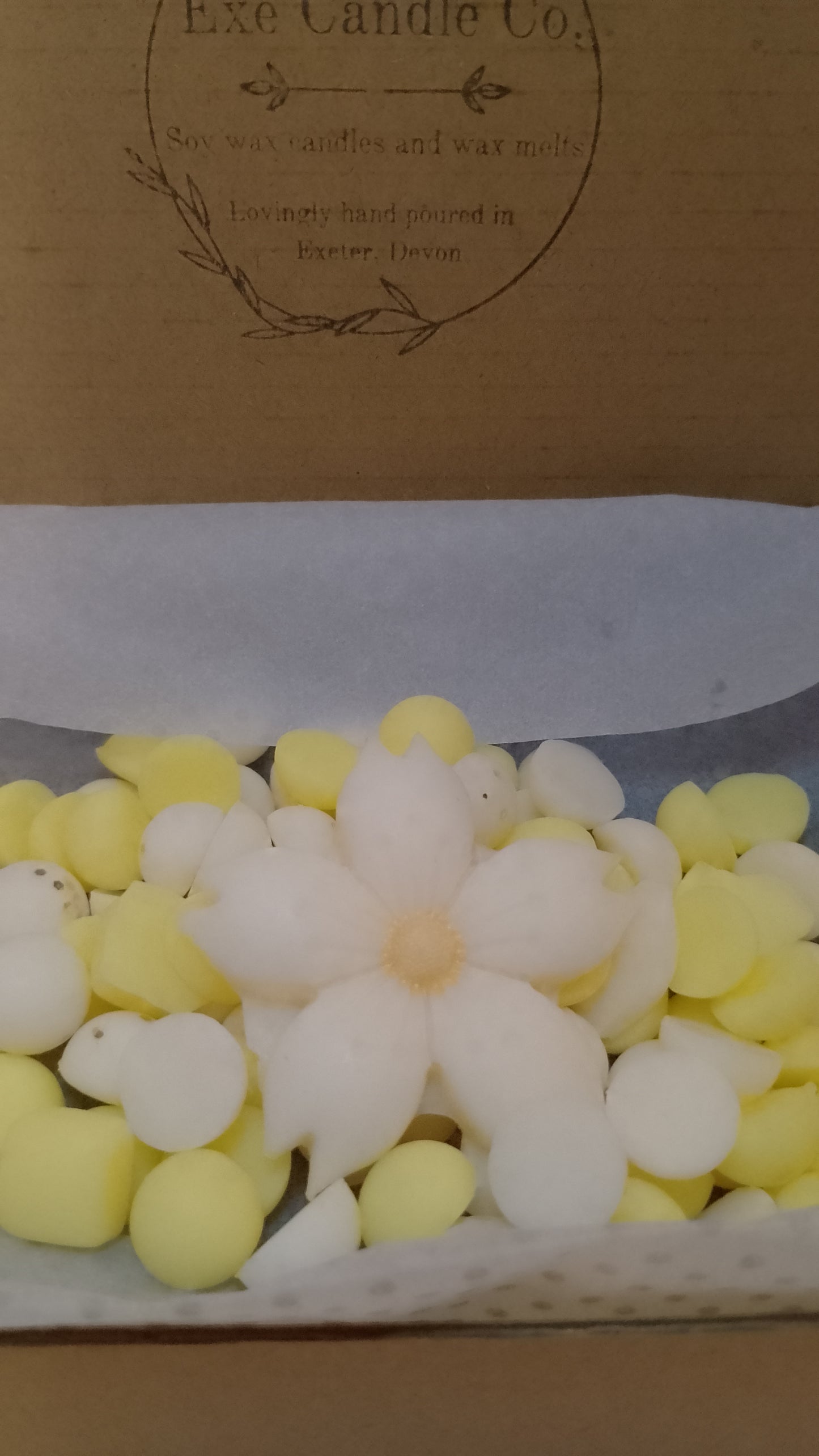 Daisy scented wax melts, yellow and white pattern, soy wax candles, perfume dupe fragrance oil