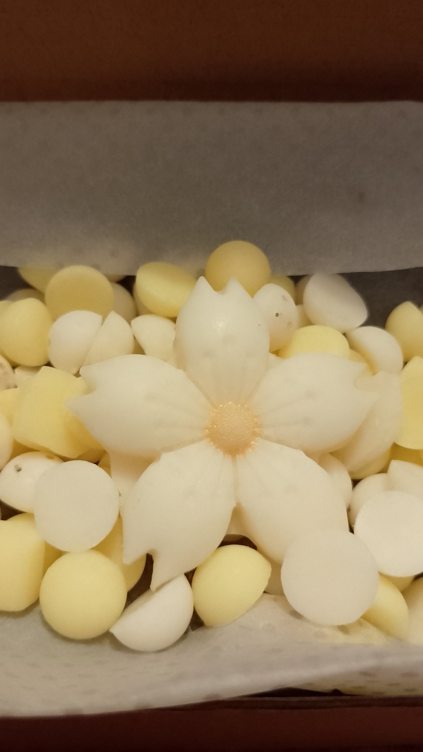 Daisy scented wax melts, yellow and white pattern, soy wax candles, perfume dupe fragrance oil