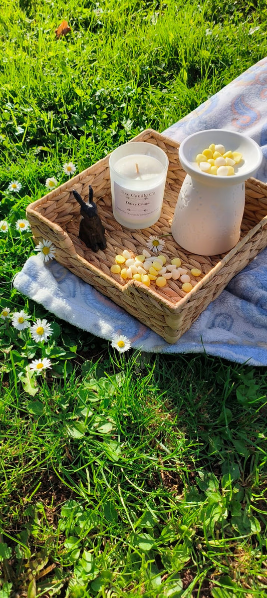 Close up of Daisy, Daisy Chain, soy wax candle, soy wax melts, scented candle and wax tarts. Luxury soy wax candle